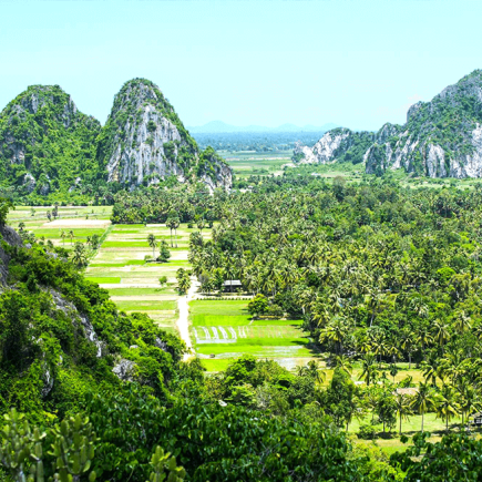 PHNOM PENH – KEP VÍA KAMPONG TRACH – MERCADO DEL CANGREJO – PARQUE NACIONAL DE KEP