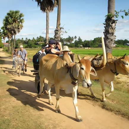 EXCURSIÓN EN KOH TRONG EN BICICLETA