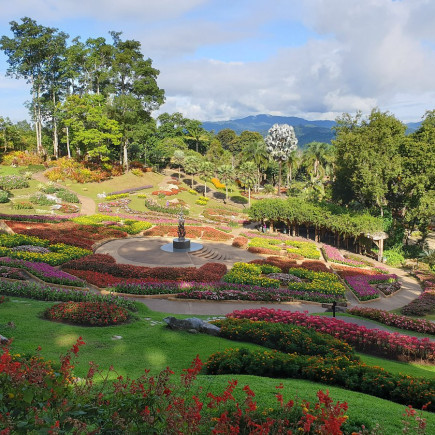 CHIANG RAI – DOI TUNG – MAE SAI – CHIANG SAEN – CHIANG RAI 