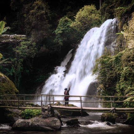 Excursión de Día Completo a Doi Inthanon con Visita a Pa Dok Siew o Kiew Mae Pan