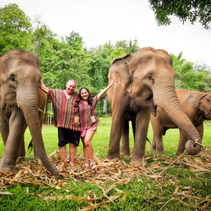CHIANG MAI – SANTUARIO DE ELEFANTES EN LA SELVA - ¡ÚNETE! 