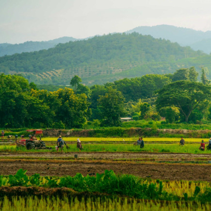 LLEGADA A CHIANG RAI
