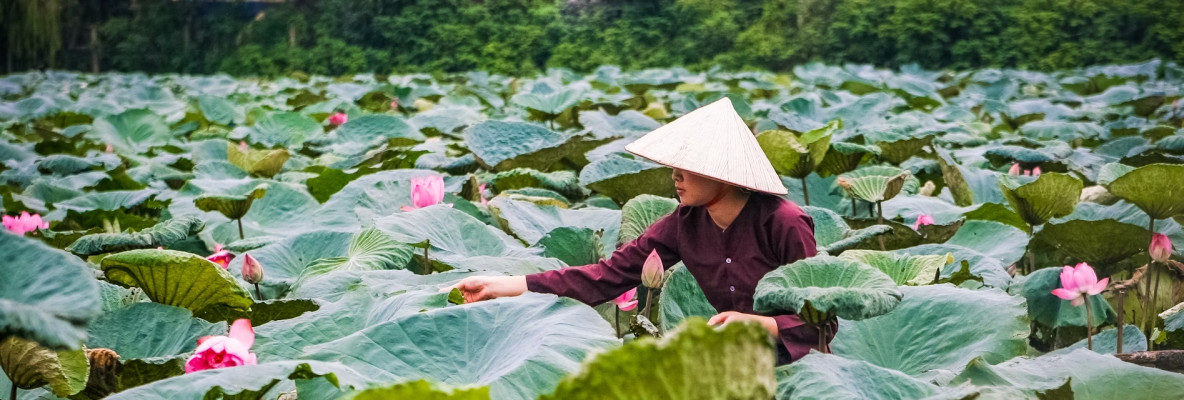 Vietnam Privado 21 Días 20 Noches - Con Tours de un Día en Grupo en el Destino