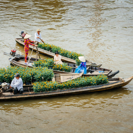 DELTA DEL MEKONG DÍA COMPLETO
