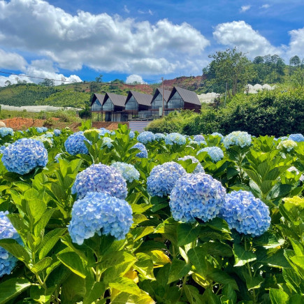 DÍA LIBRE EN DA LAT