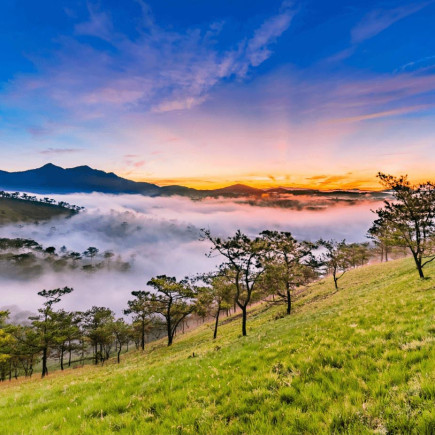 DÍA LIBRE EN DA LAT
