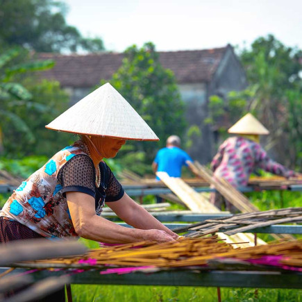 TOUR PRIVADO POR LA ALDEA DE INCIENSO DE HANÓI