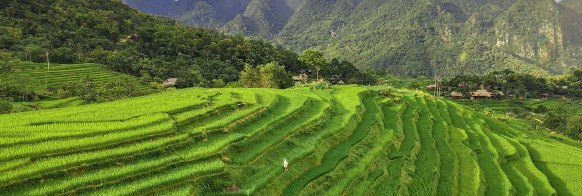 Vietnam Privado 22 Días - Viaje Culinario por Vietnam - Con Tours de un Día en Grupo en el Destino