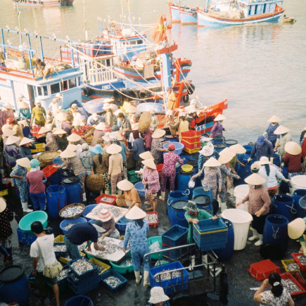 MERCADO DE PESCADO DE VINH TRUONG – VUELO A SAIGÓN – TOUR A PIE