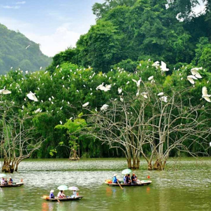 TOUR DE DÍA COMPLETO: HANÓI - NINH BINH - HOA LU - THUNG NHAM - VALLE DE LAS AVES