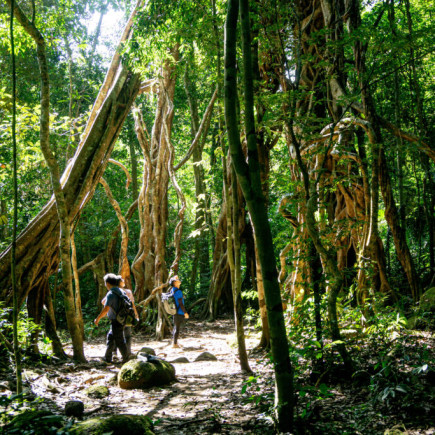 HO CHI MINH – PARQUE NACIONAL CAT TIEN