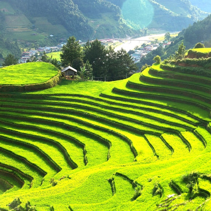 SAPA - SENDERISMO A LAS ALDEAS DE LAO CHAI Y TA VAN