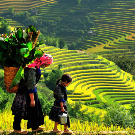 LAO CHAI - TA VAN