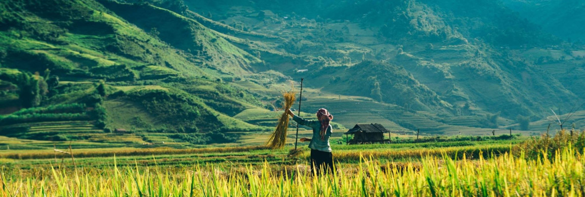 Vietnam privado 15 días 14 noches: La saga de Vietnam