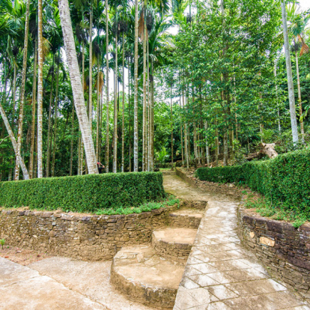 Excursión de día completo al túnel de Ky Anh y al antiguo pueblo de Loc Yen