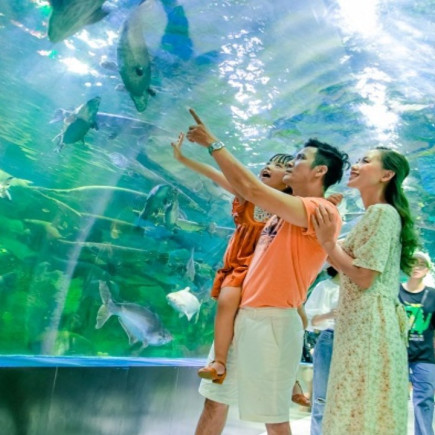 NHA TRANG TOUR DE DÍA COMPLETO POR LA CIUDAD Y SPA DE LODO