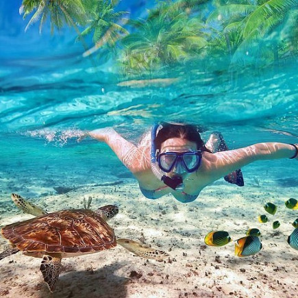 NHA TRANG – ISLA Y SNORKEL