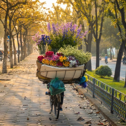 HA NOI - DÍA LIBRE