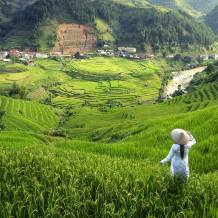 LAO CAI - SA PA - LAO CHAI Y TA VAN