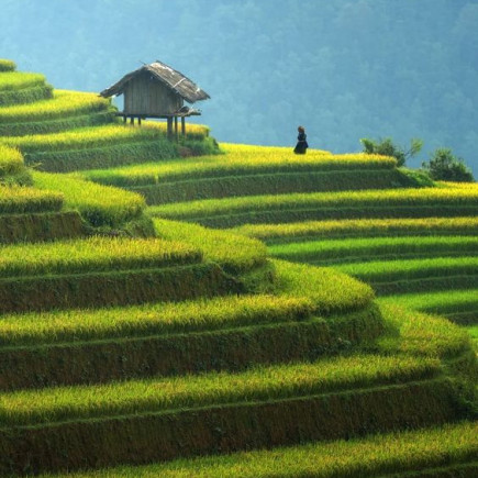 LAO CAI - SA PA - LAO CHAI Y TA VAN
