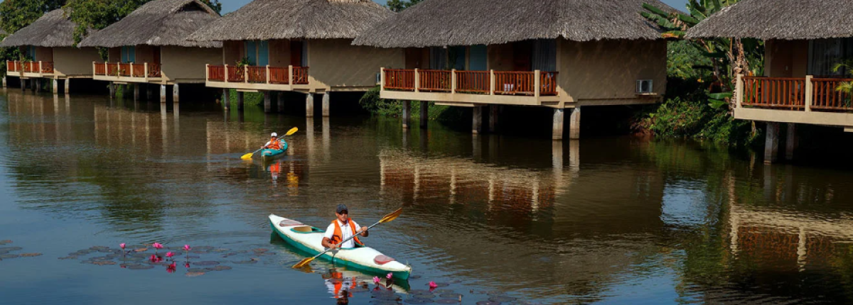 Los Mejores Tours Privados por el Delta del Mekong: Experiencias Auténticas y Exclusivas