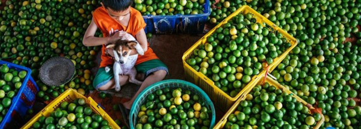 Tours de lujo por el delta del Mekong: experiencias culturales y fluviales premium en el sur de Vietnam