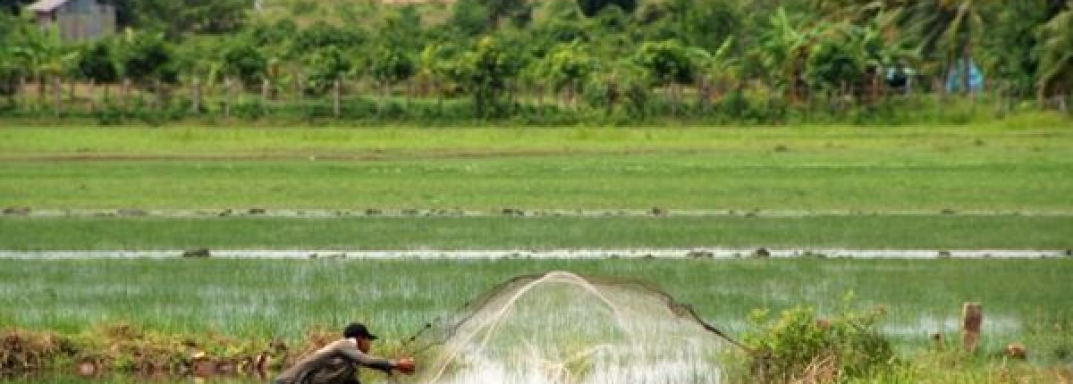 Tour cultural y fotográfico a medida por Camboya: una experiencia de viaje auténtica