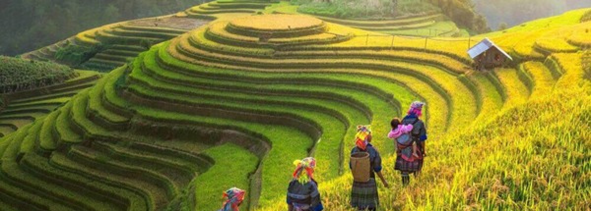 Tour fotográfico por Vietnam: captura el alma y la belleza de Vietnam