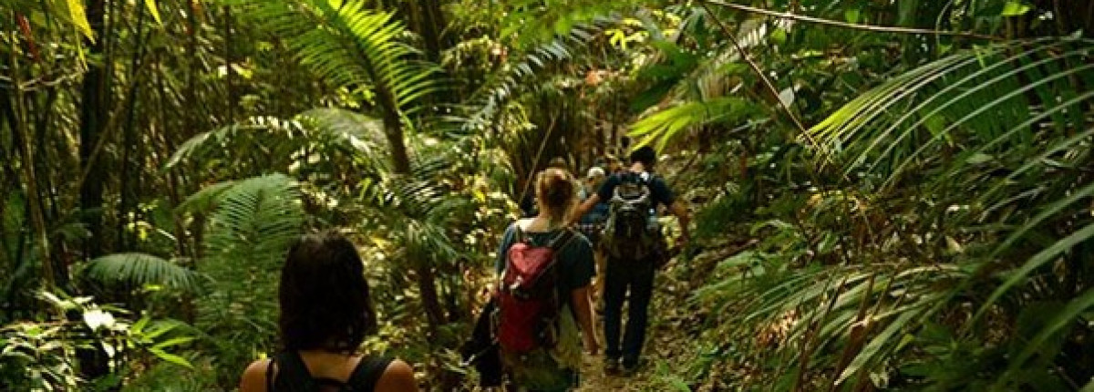 Tour de senderismo por las montañas de Laos: te esperan auténticas aventuras con las tribus de las colinas