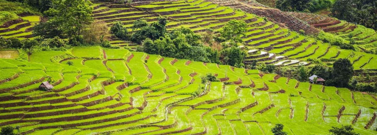 Viaje cultural de slow travel por Tailandia para conexiones más profundas