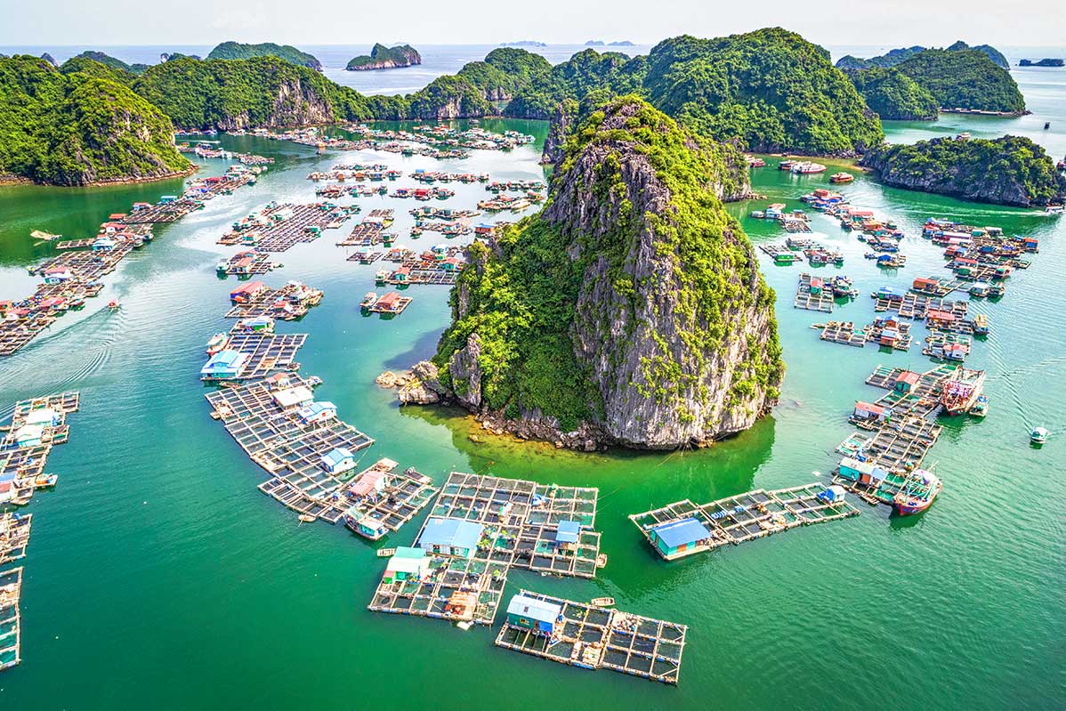 lan-ha-bay-floating-village.jpg (223 KB)