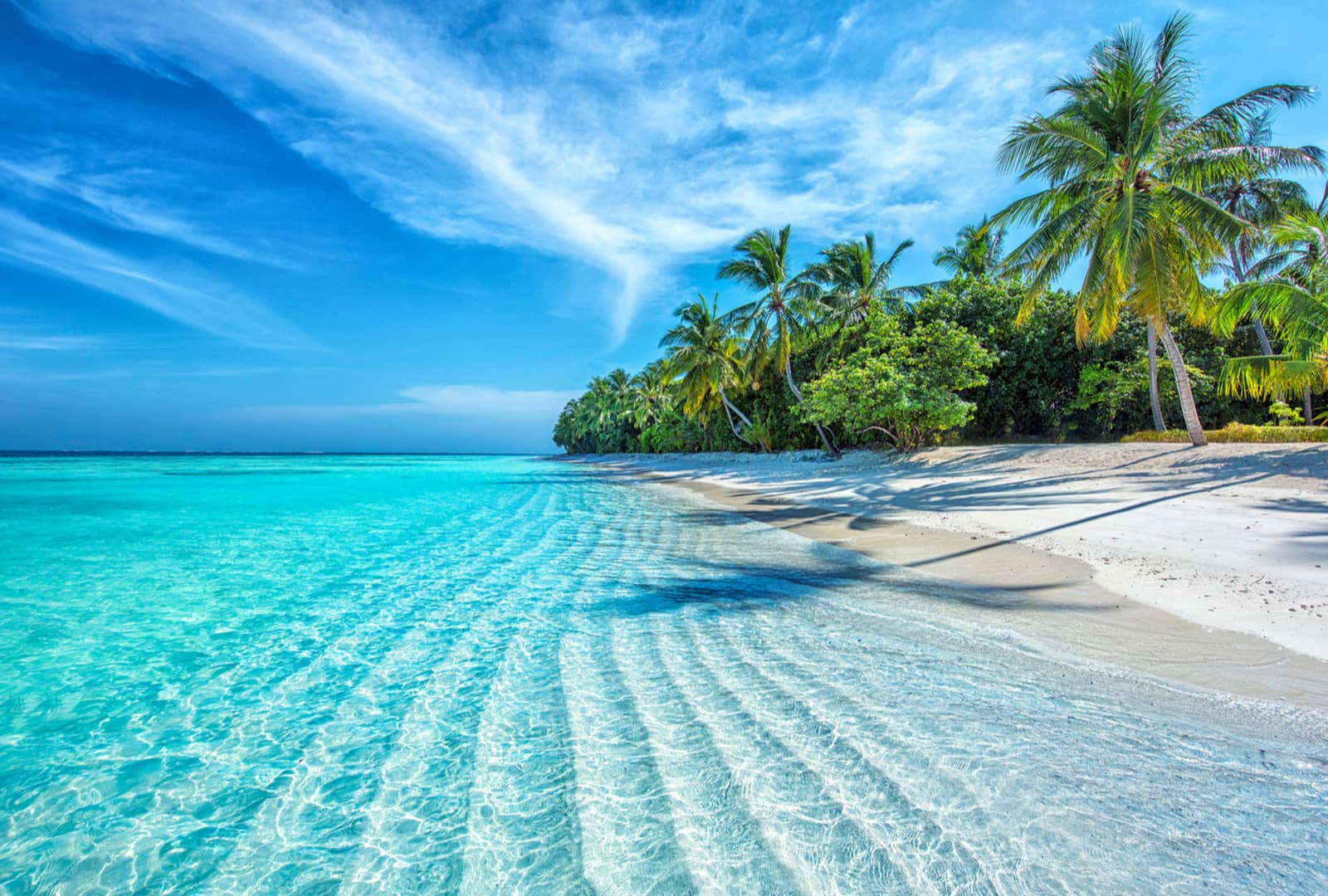 tour-dao-nha-trang-top.jpg (232 KB)