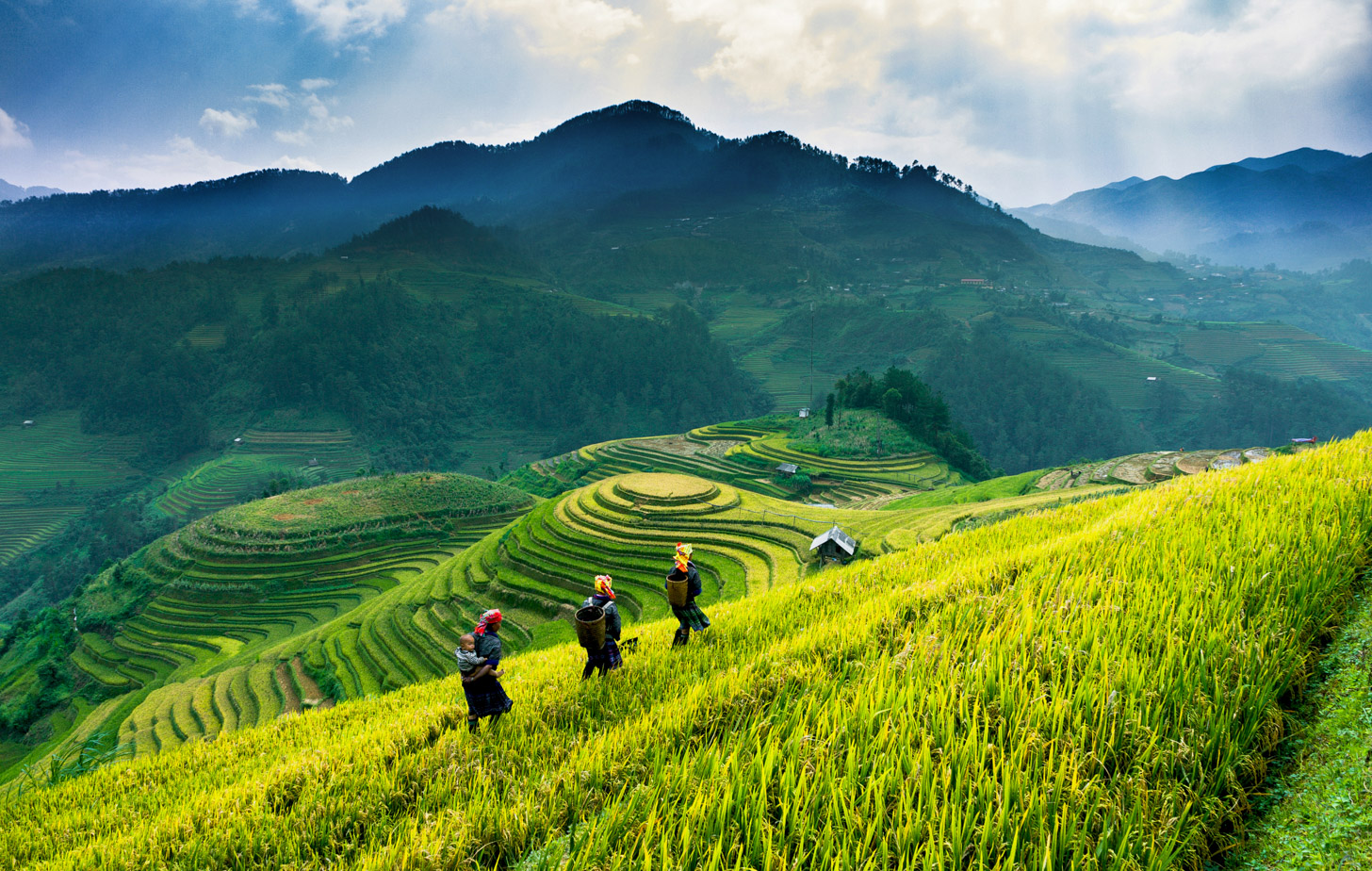 sapa-vietnam.jpg (653 KB)