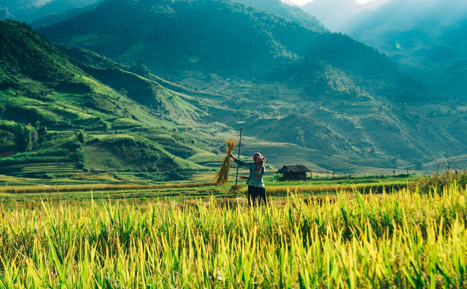 vietnam_travel.jpg (986 KB)