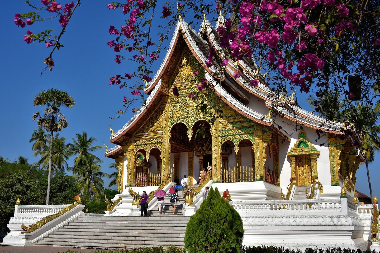 best-laos-elephant-sanctuary-experience-and-luxury-stay5.jpg (573 KB)