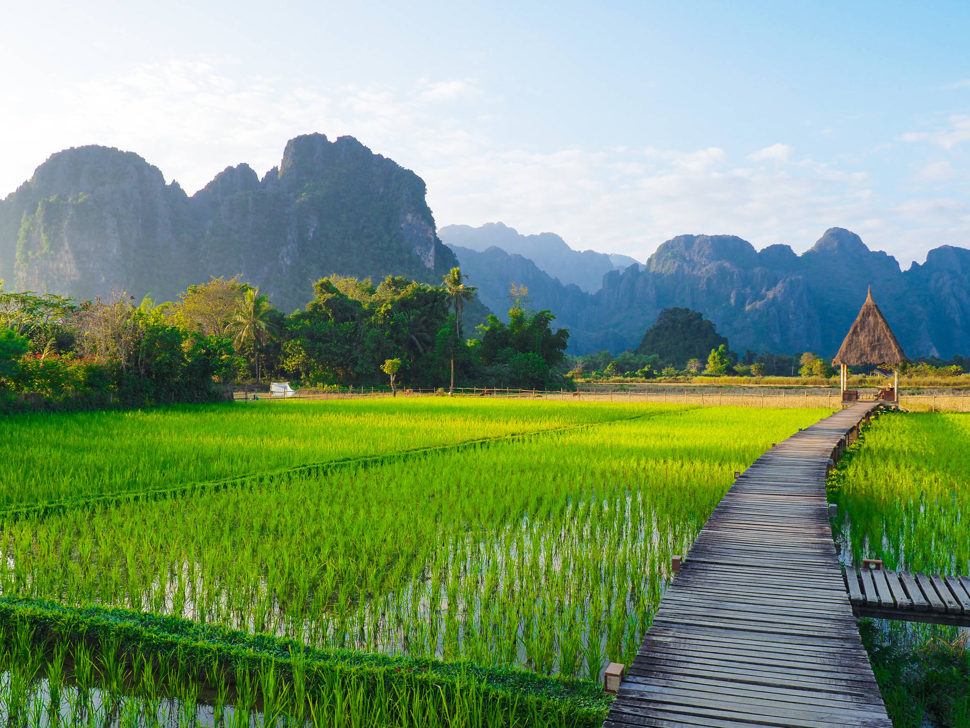 private-laos-photography-nature-journey-off-the-beaten-path3.png (4.12 MB)