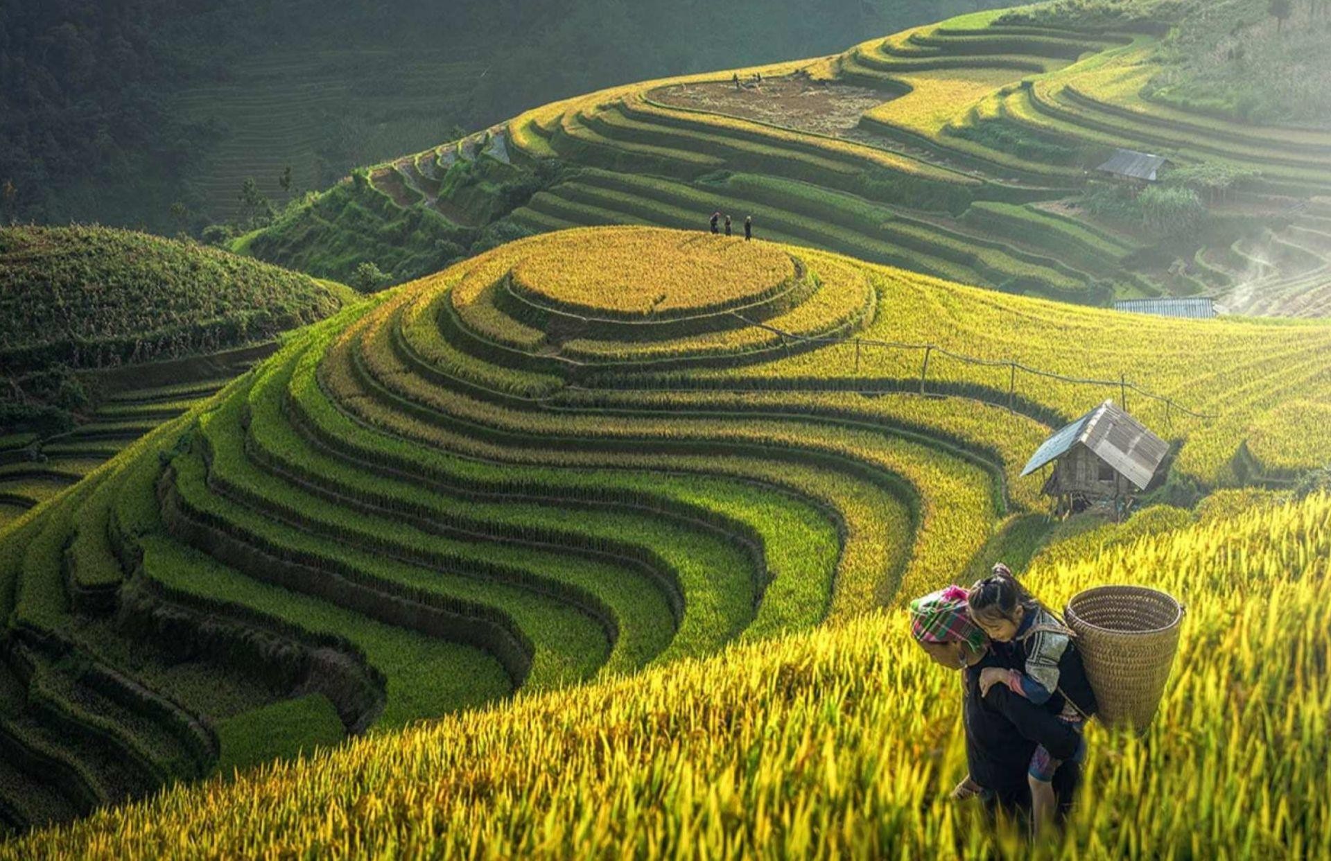 sapa-trekking-tour-private-for-cloud-chasing-journey2.jpg (549 KB)