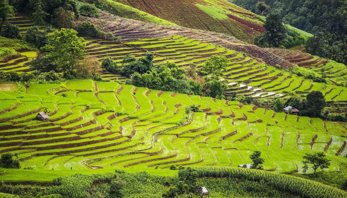 thailand-slow-travel-cultural-journey-for-deeper-connections4.jpg (407 KB)